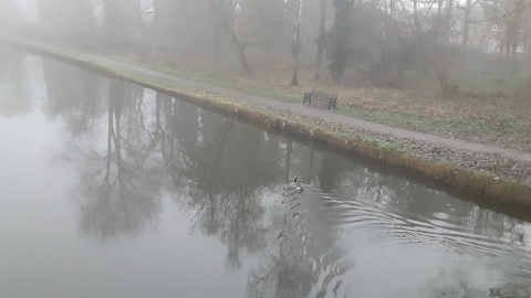morning-view7