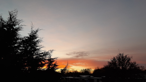 morning-view8