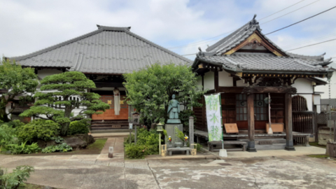 nezu1