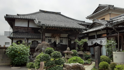 nezu2