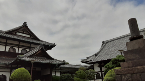 nezu4