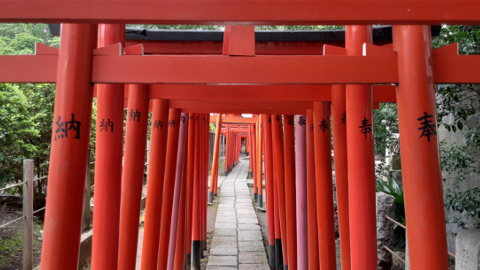 nezu6