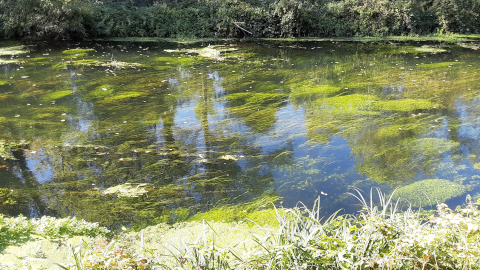ouse1