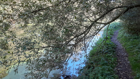 ouse2