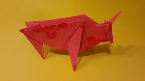 ox