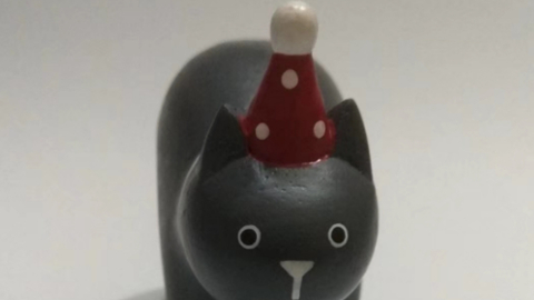 partycat