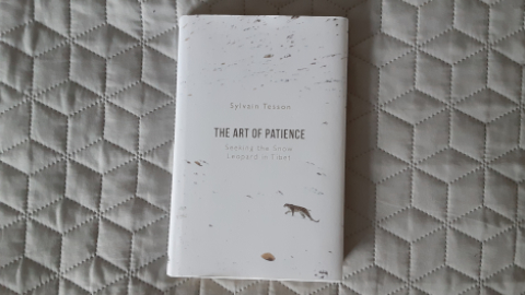 patience