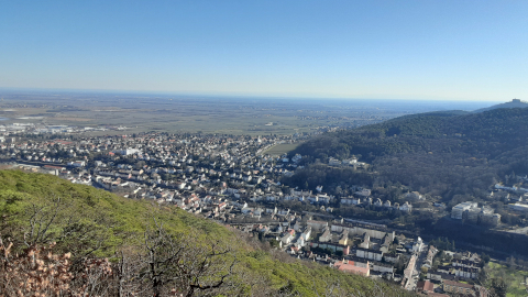 peak11
