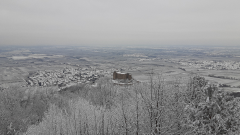 peak6