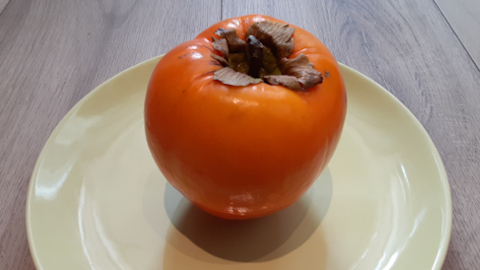 persimmon