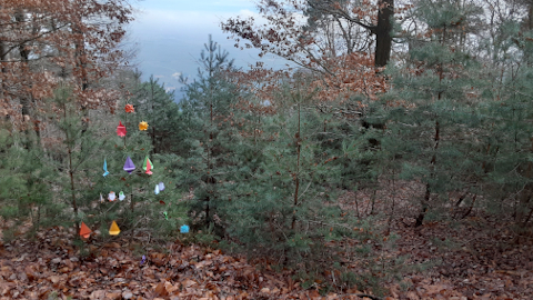 rainbow-christmastree4/>
<p class=