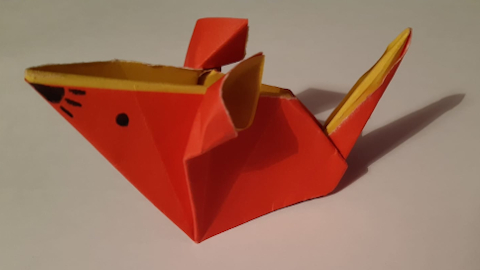 rat