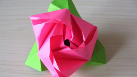 rose2