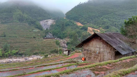 sapa1