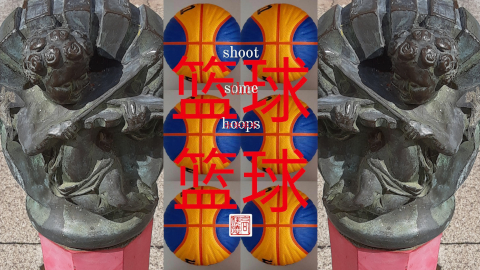 shoot