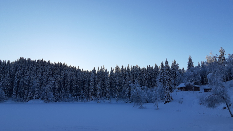 skjen4