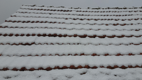 snow1