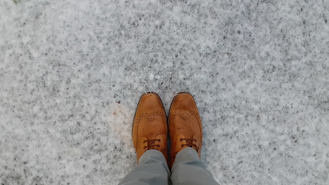 snowshoes