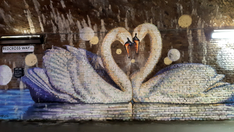 swan