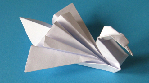 swan1