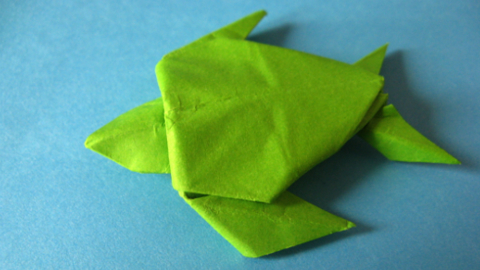 swan2
