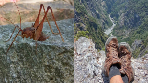 taroko6