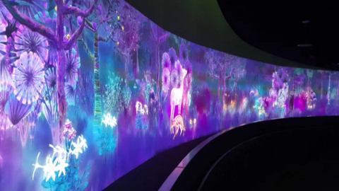 teamlab4