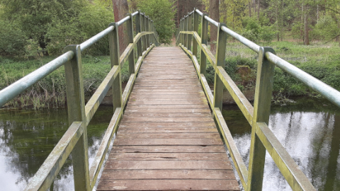 trail3