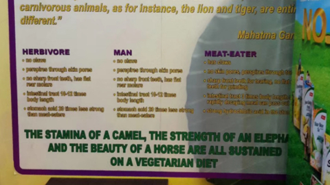 vegetarian2