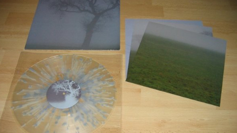 vinyl1