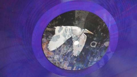 vinyl3