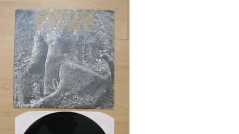 vinyl4