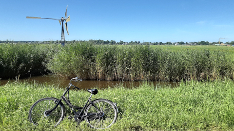 windmills1