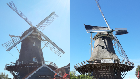 windmills3