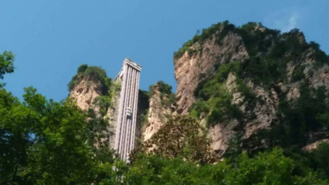 zhang1