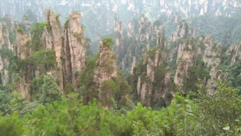 zhang2