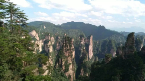 zhang9